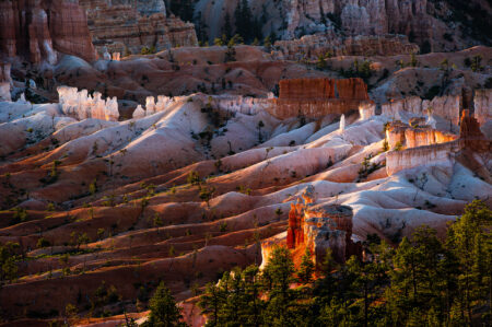  Copyright © Jean-Michel Laurenti. All Rights Reserved.