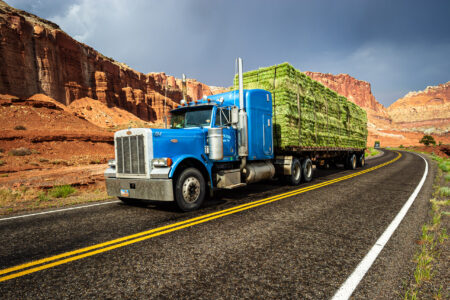  Copyright © Jean-Michel Laurenti. All Rights Reserved.