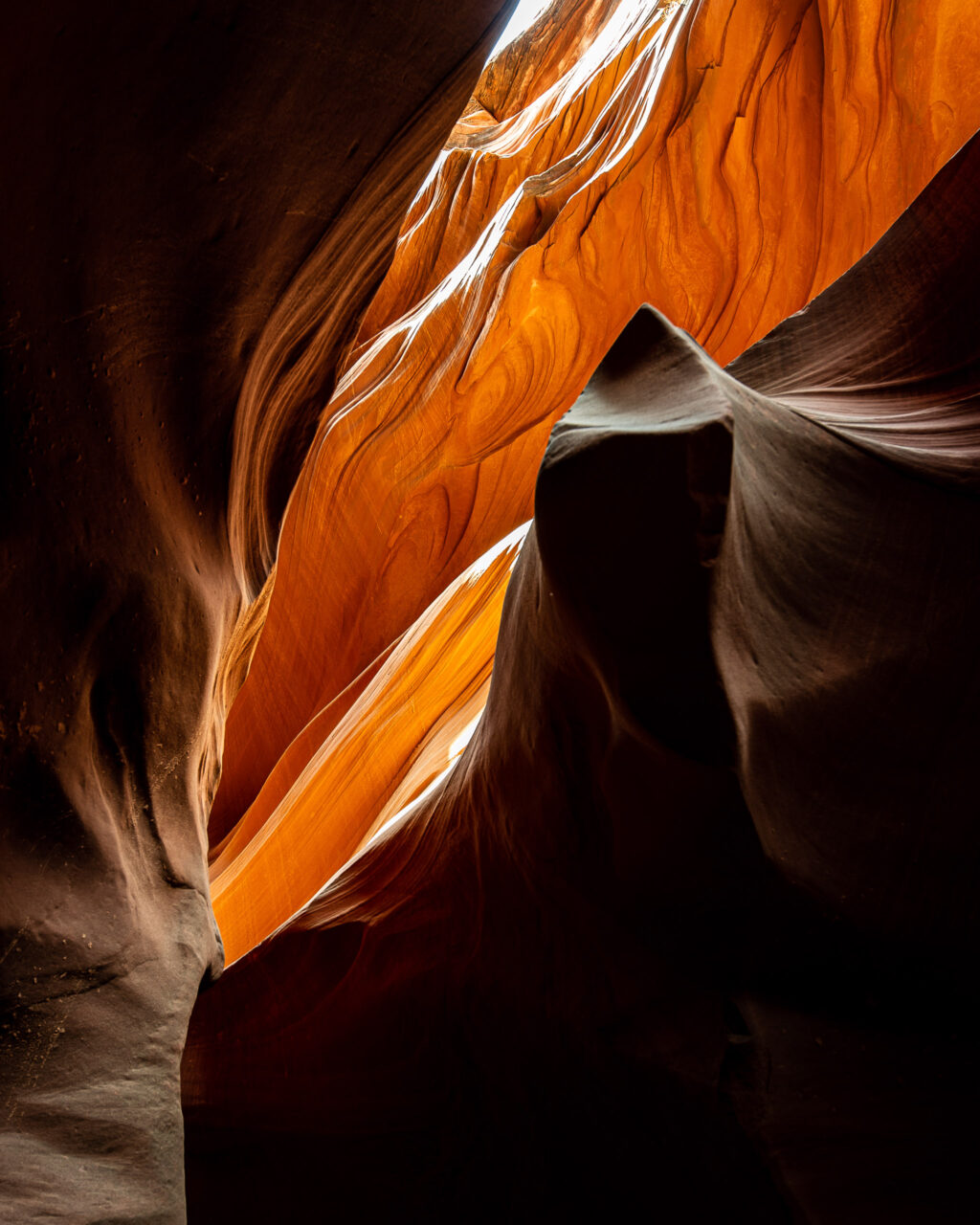  Copyright © Jean-Michel Laurenti. All Rights Reserved.