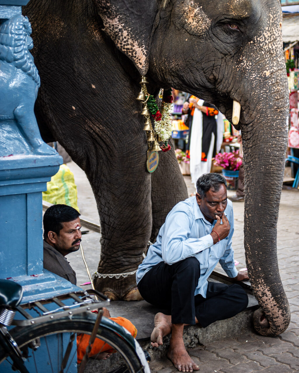 Copyright © Jean-Michel Laurenti. All Rights Reserved.