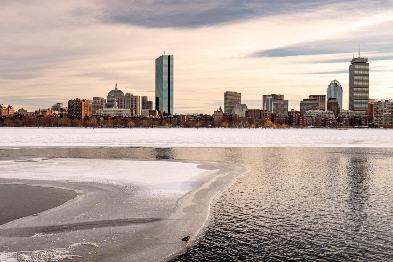  Copyright © Jean-Michel Laurenti. All Rights Reserved.