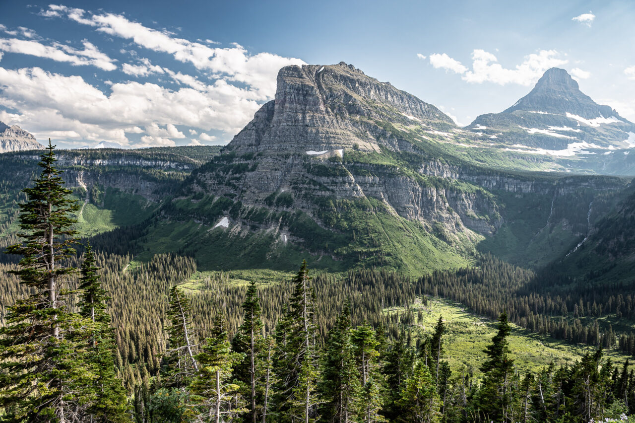 Copyright © Jean-Michel Laurenti. All Rights Reserved.