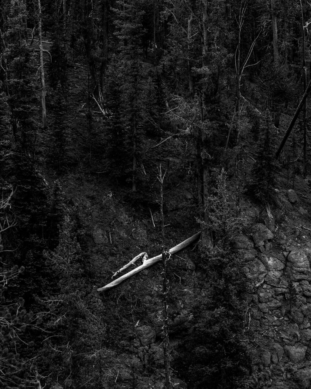 Copyright © Jean-Michel Laurenti. All Rights Reserved.