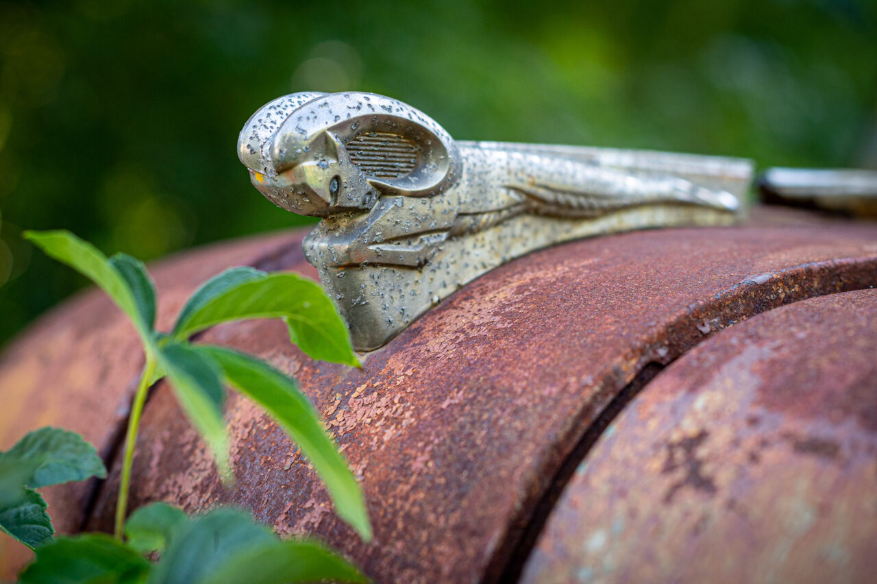  Copyright © Jean-Michel Laurenti. All Rights Reserved.