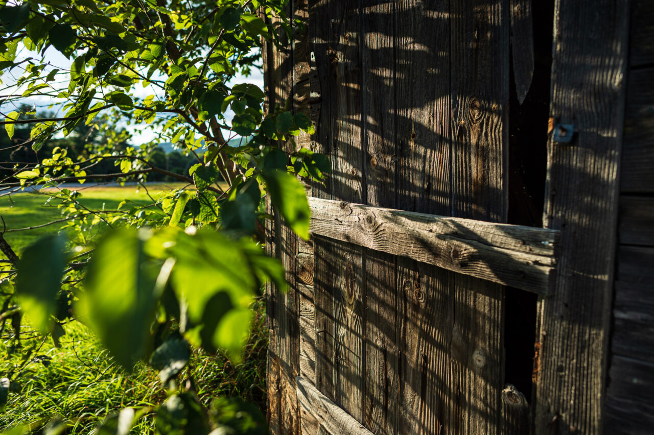  Copyright © Jean-Michel Laurenti. All Rights Reserved.