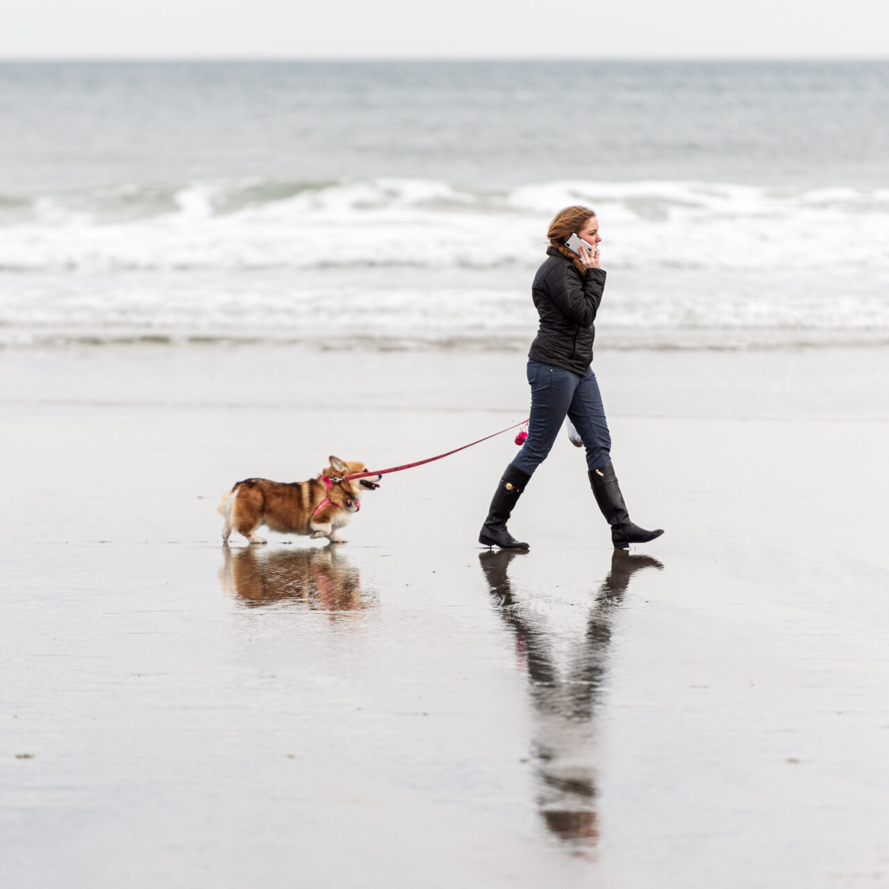  Copyright © Jean-Michel Laurenti. All Rights Reserved.