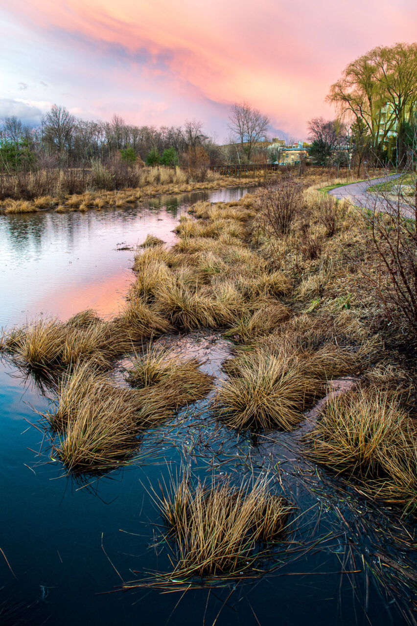  Copyright © Jean-Michel Laurenti. All Rights Reserved.