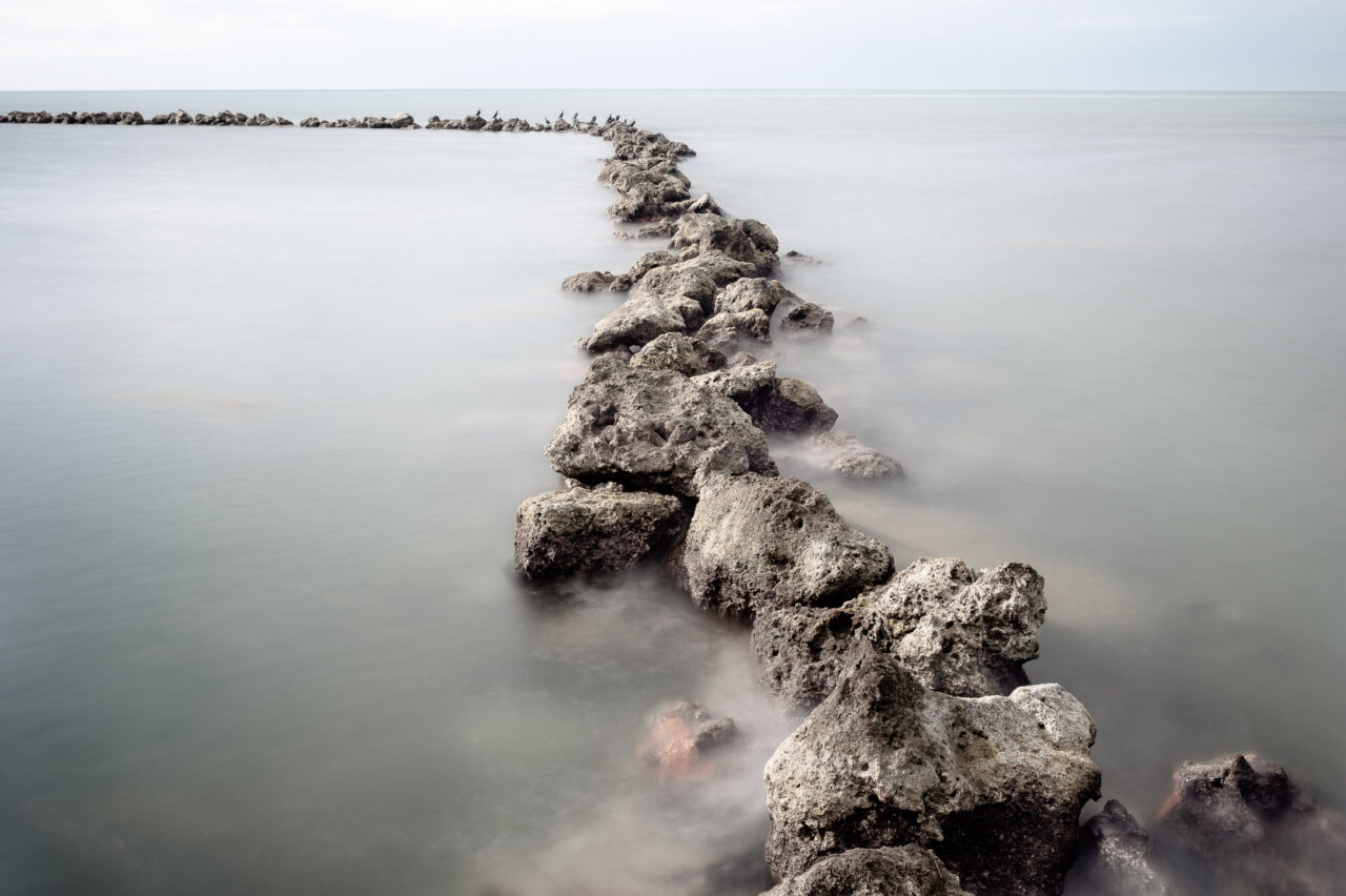 Copyright © Jean-Michel Laurenti. All Rights Reserved.