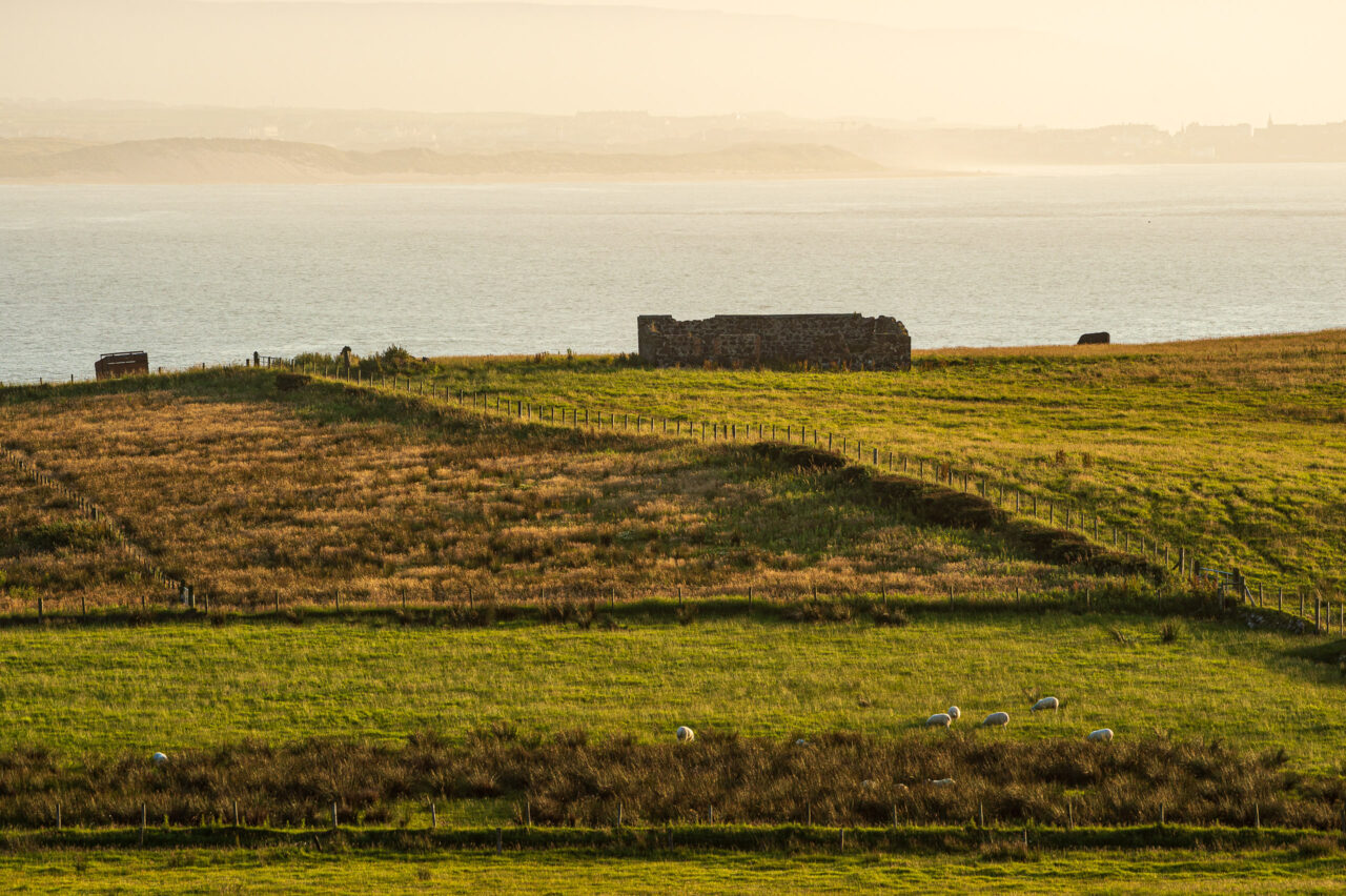  Copyright © Jean-Michel Laurenti. All Rights Reserved.