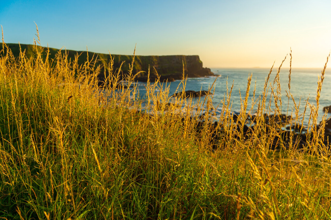  Copyright © Jean-Michel Laurenti. All Rights Reserved.