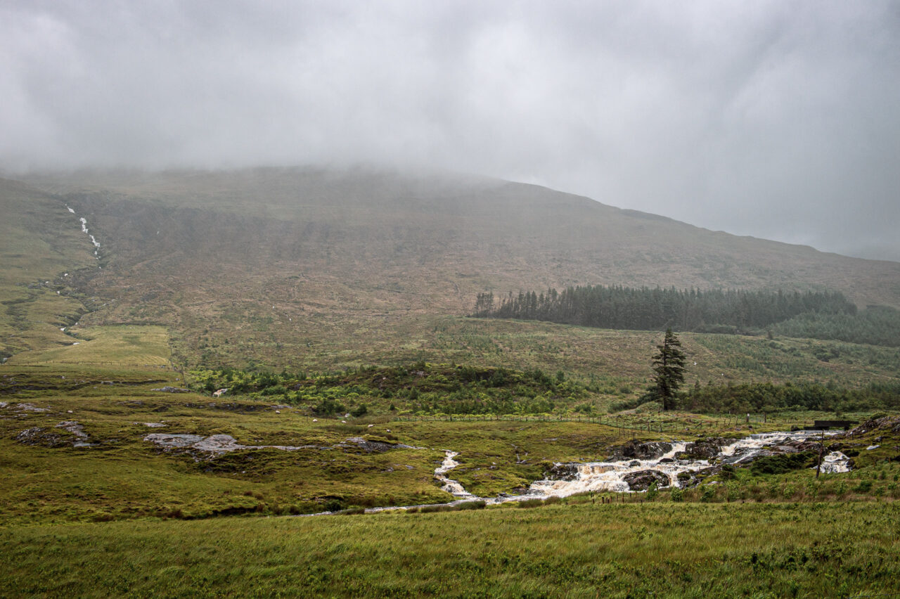  Copyright © Jean-Michel Laurenti. All Rights Reserved.