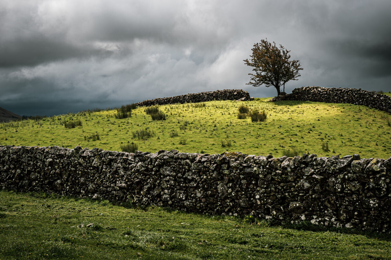  Copyright © Jean-Michel Laurenti. All Rights Reserved.