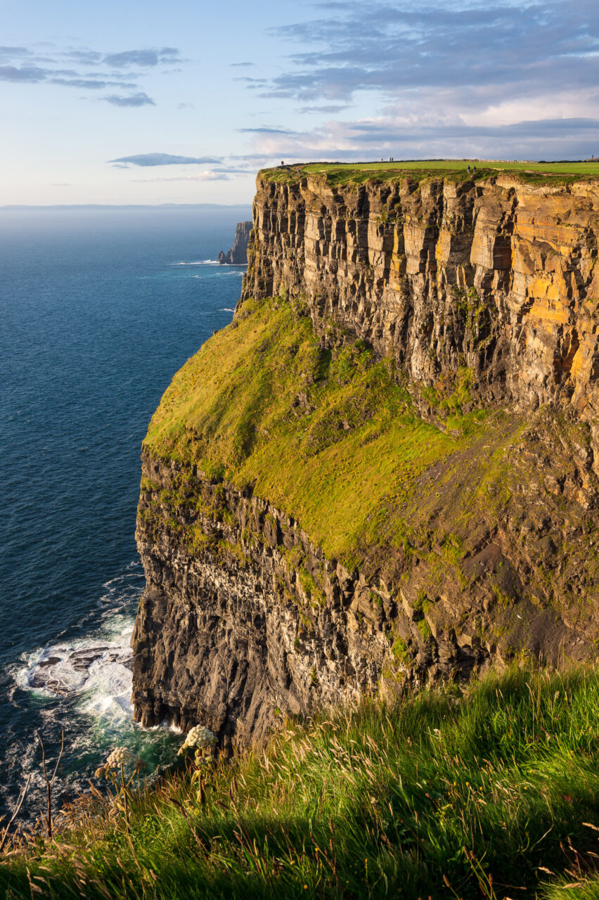  Copyright © Jean-Michel Laurenti. All Rights Reserved.