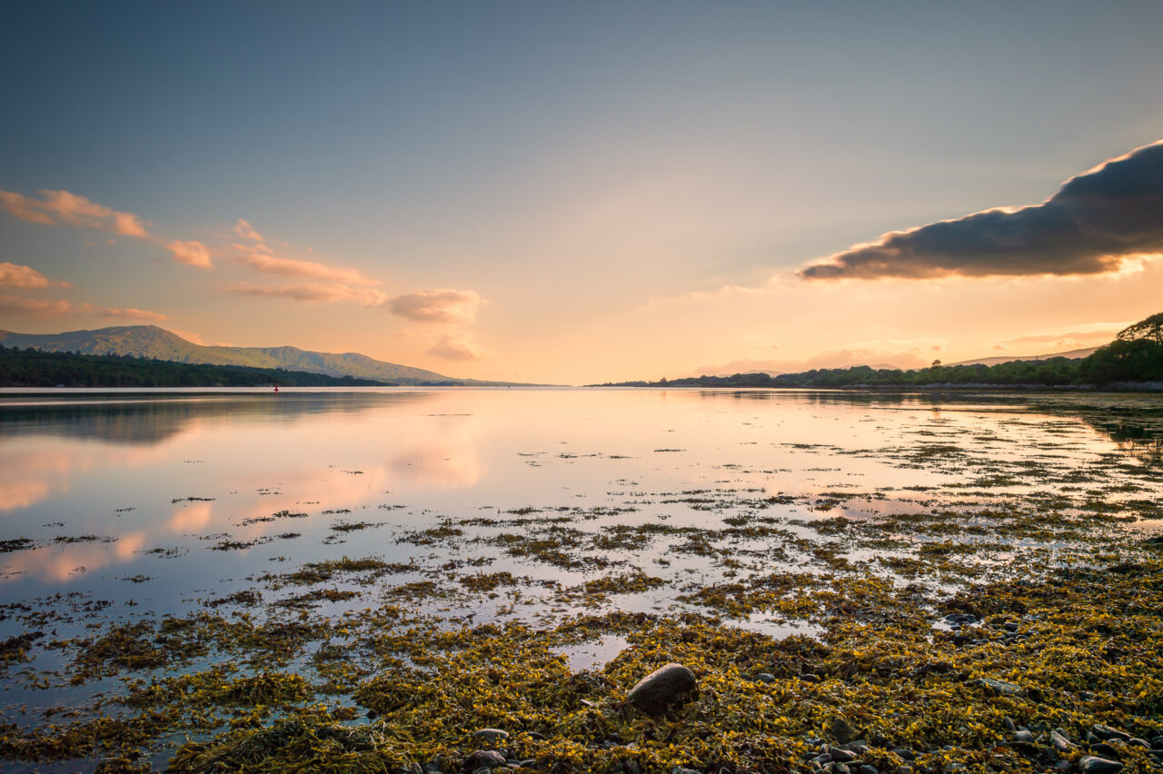  Copyright © Jean-Michel Laurenti. All Rights Reserved.