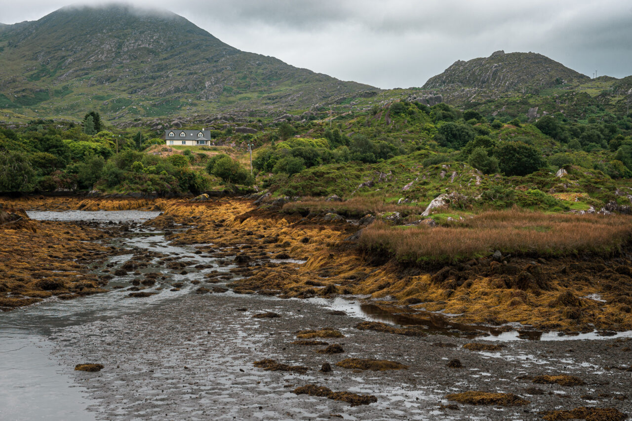  Copyright © Jean-Michel Laurenti. All Rights Reserved.