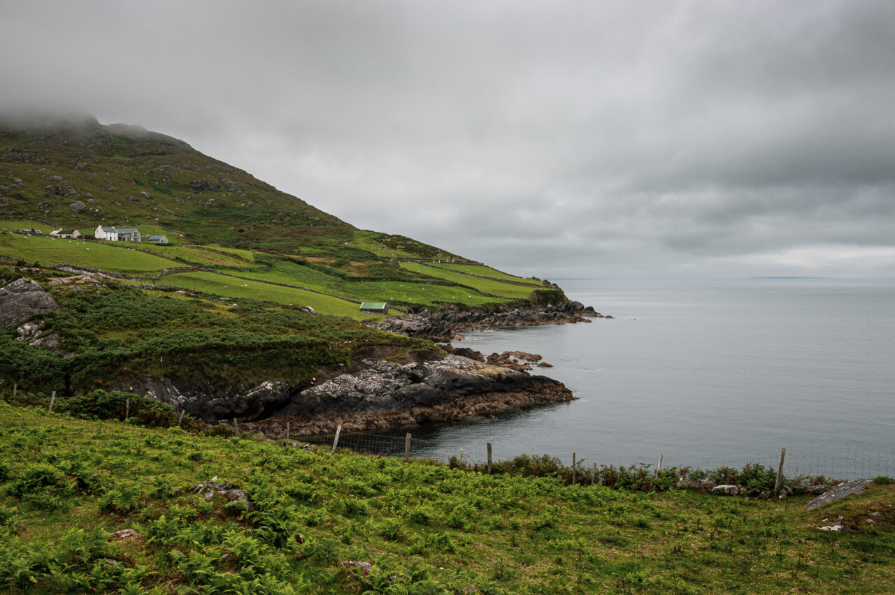  Copyright © Jean-Michel Laurenti. All Rights Reserved.