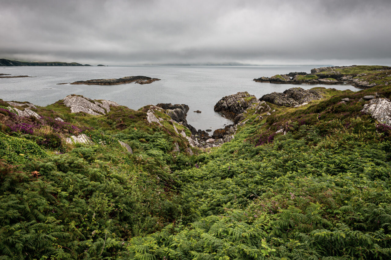  Copyright © Jean-Michel Laurenti. All Rights Reserved.