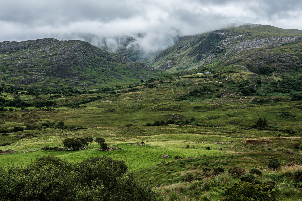  Copyright © Jean-Michel Laurenti. All Rights Reserved.