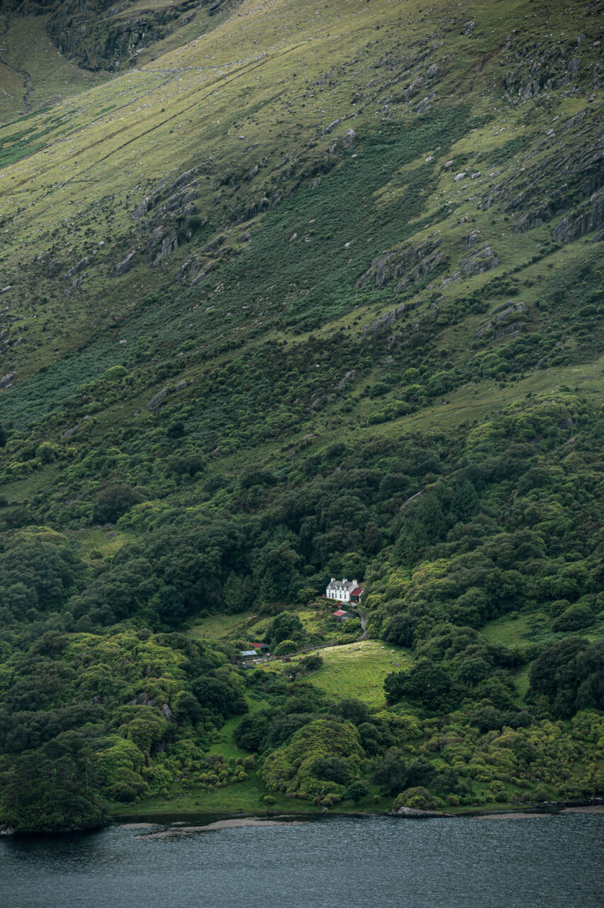  Copyright © Jean-Michel Laurenti. All Rights Reserved.