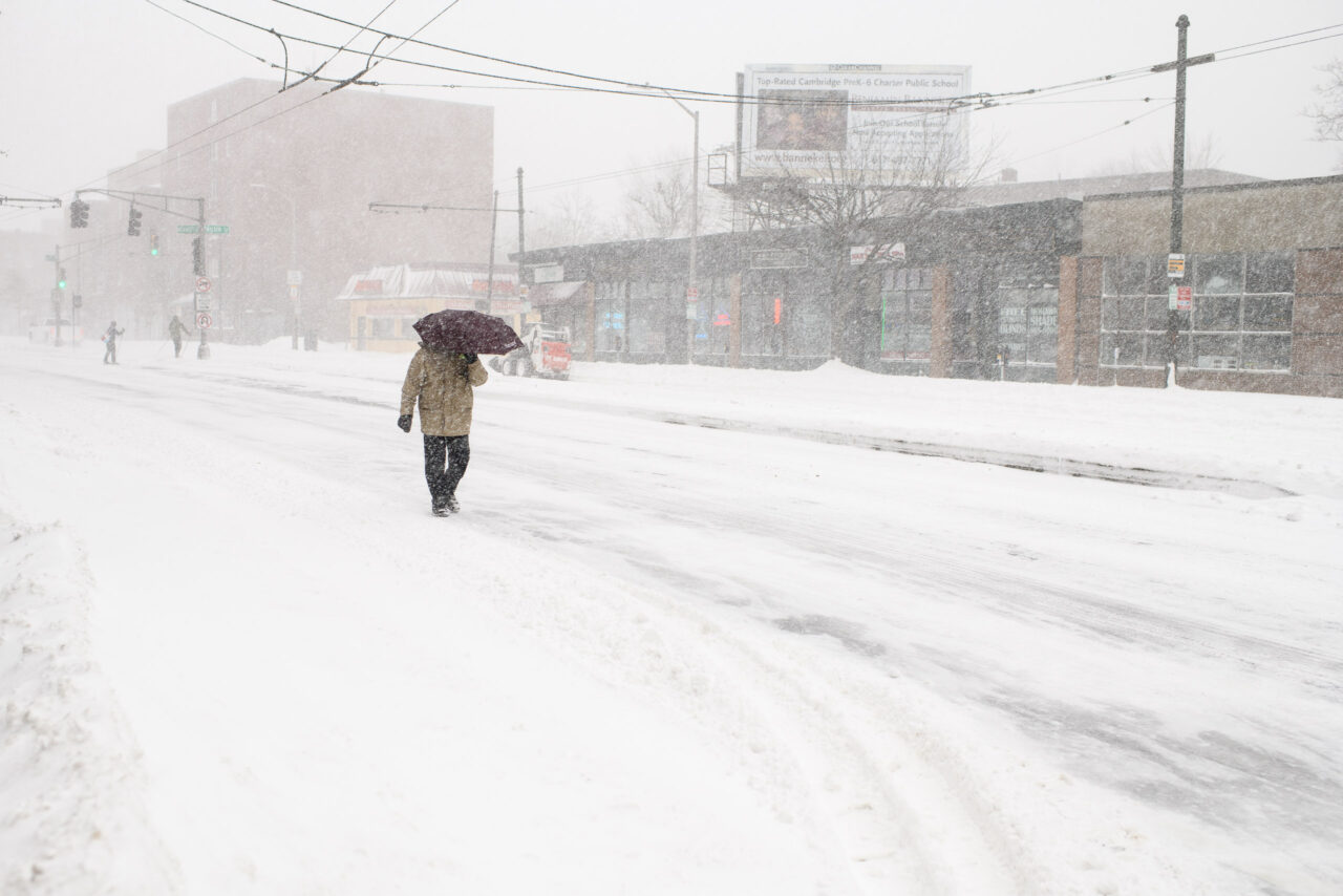  Copyright © Jean-Michel Laurenti. All Rights Reserved.