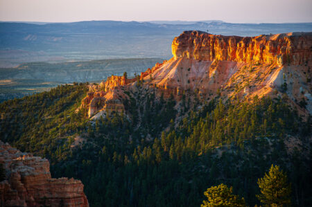  Copyright © Jean-Michel Laurenti. All Rights Reserved.