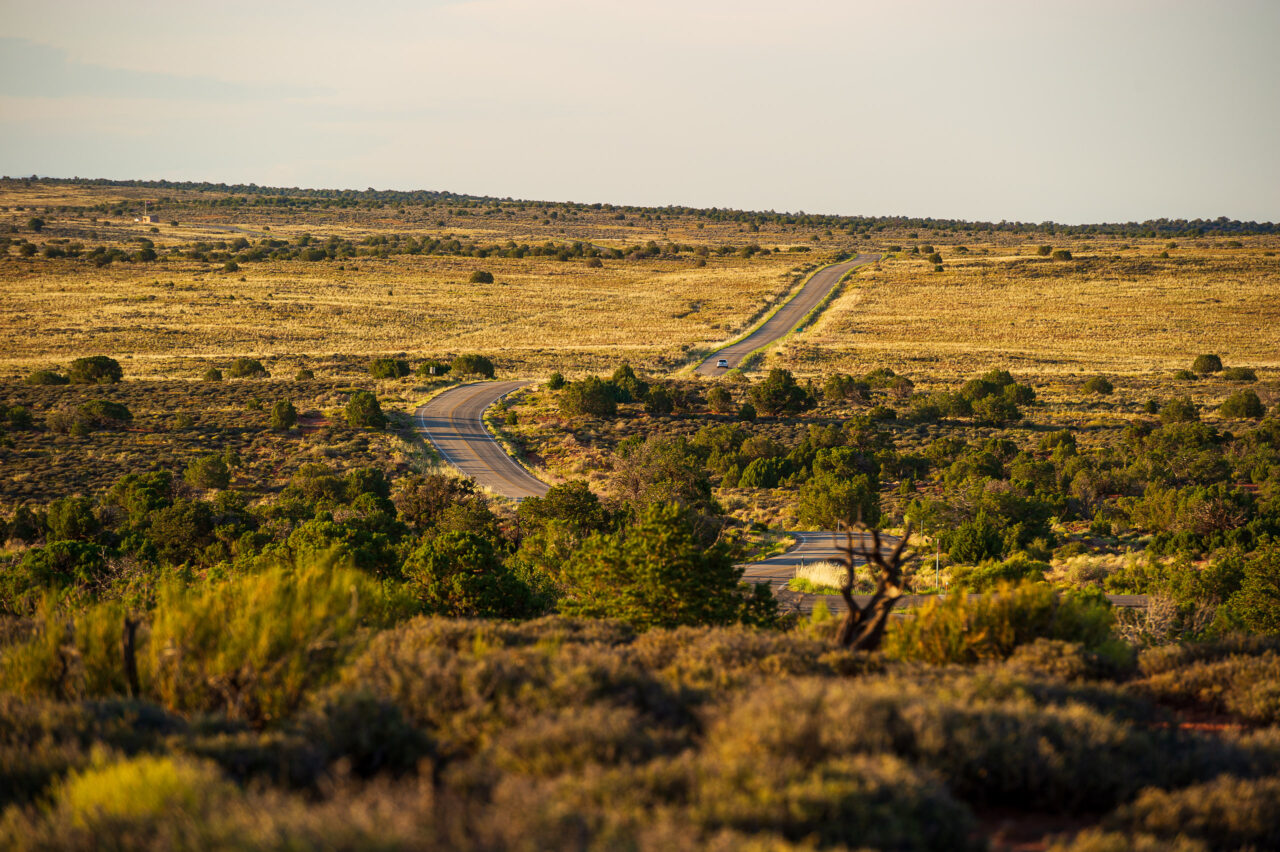  Copyright © Jean-Michel Laurenti. All Rights Reserved.