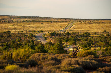  Copyright © Jean-Michel Laurenti. All Rights Reserved.