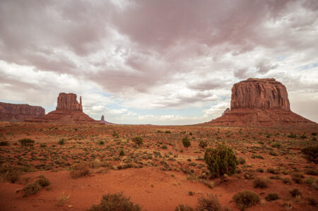  Copyright © Jean-Michel Laurenti. All Rights Reserved.