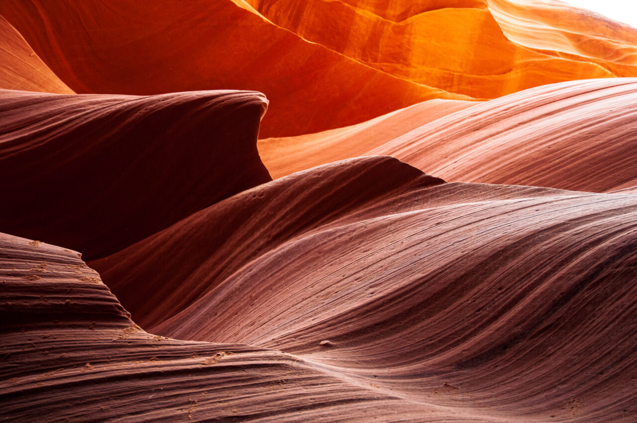  Copyright © Nathalie Bougnet. All Rights Reserved.