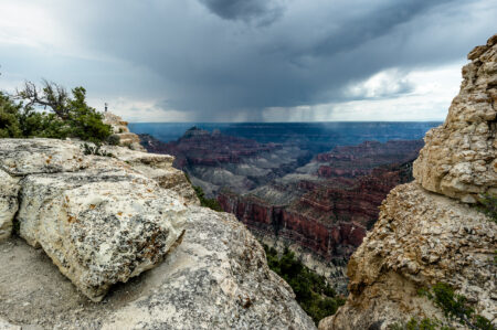  Copyright © Jean-Michel Laurenti. All Rights Reserved.