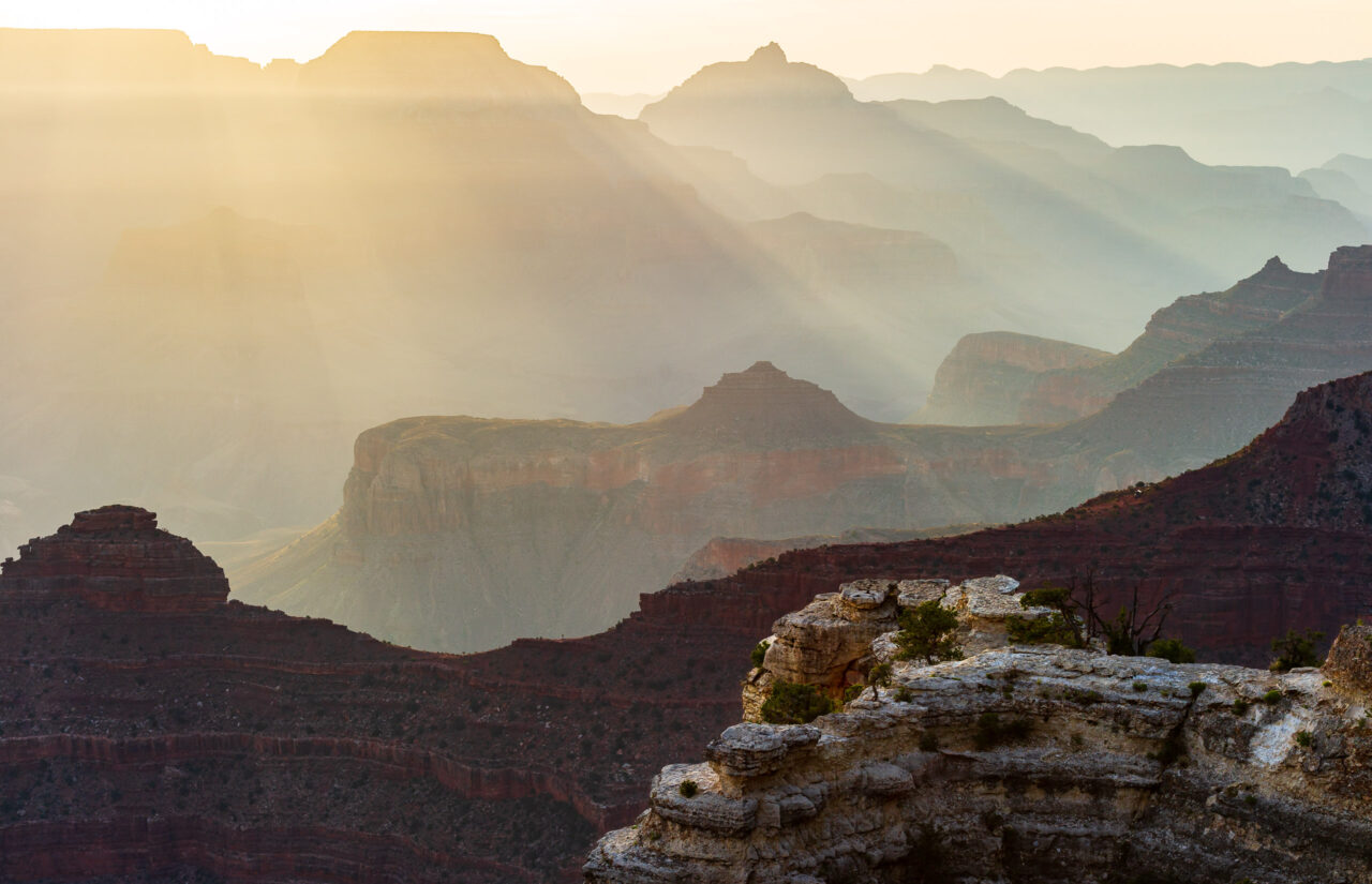  Copyright © Jean-Michel Laurenti. All Rights Reserved.