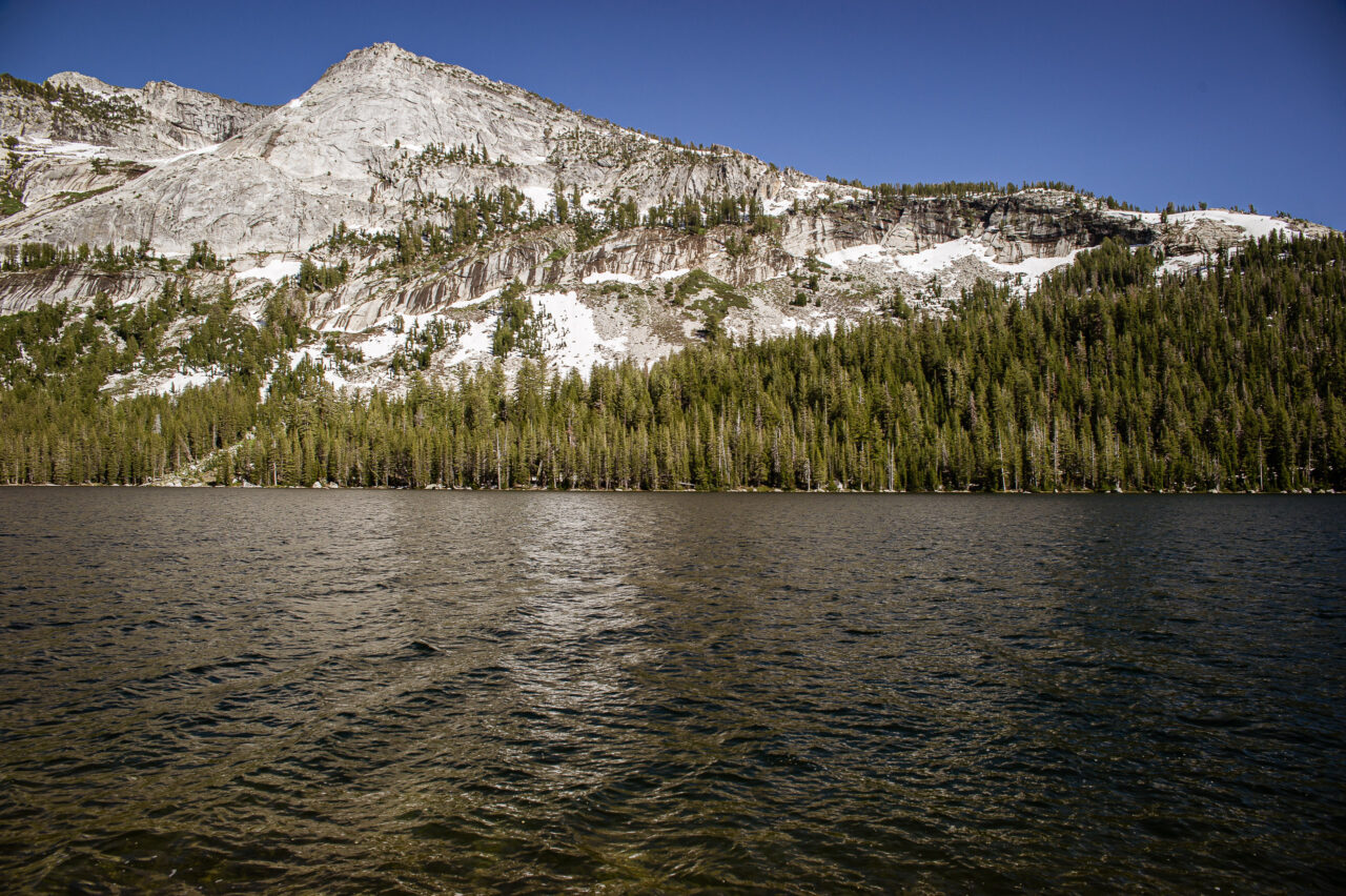  Copyright © Jean-Michel Laurenti. All Rights Reserved.