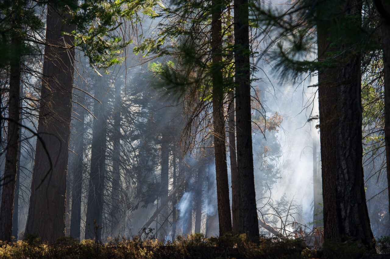  Copyright © Jean-Michel Laurenti. All Rights Reserved.